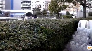 【黄先生探花】性感大奶纹身妹，椅子上退下内裤特写摸逼后入抽插操哭